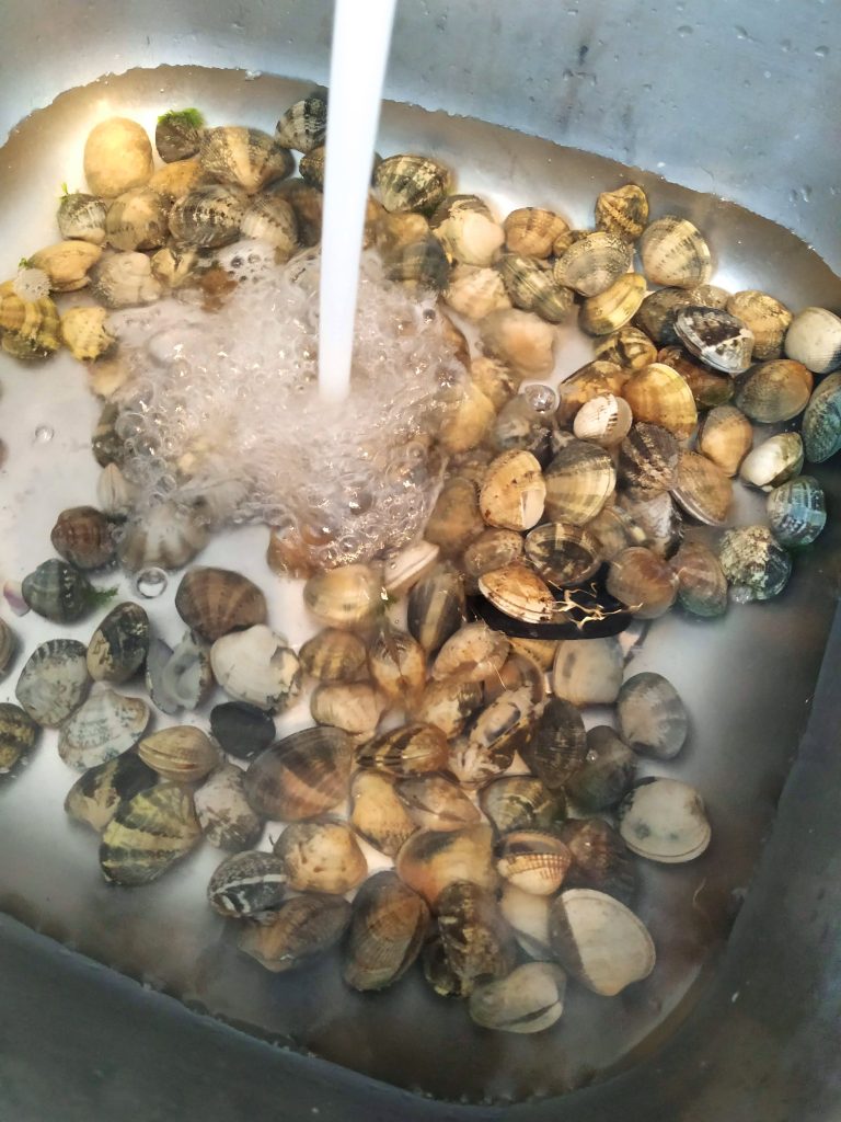 Muscheln gründlich waschen